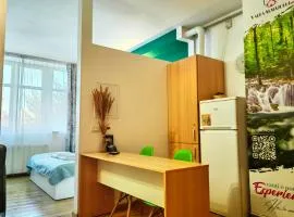 Comfort Apartments Timisoara