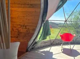 Koa Tree Geodesic Dome