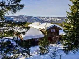 Large cabin at Nesfjellet with lovely view, inddor Jacuzzi & sauna