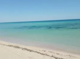 Oasis Beach