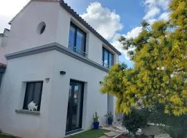 A l'ombre du platane