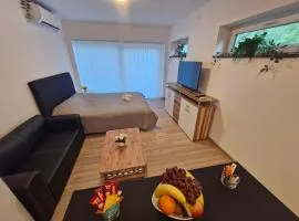 HOLIDAY NEST Family Apart Guest House 26m2 - Mysigt studio för 4 pers