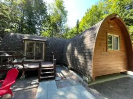Unique Wooden POD