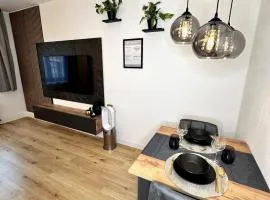 City Apartment Bad Aussee