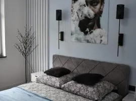 Apartament Ustrzyki Dolne "Dark-Wolf"