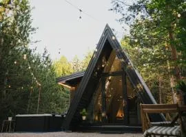 Pinelle Blidinje A-Frame House