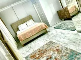 Ahmet Teacher's villa is 6 minutes from Istanbul airport