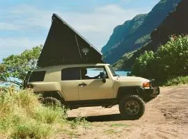 Fully Decked All Tan FJ Cruiser!