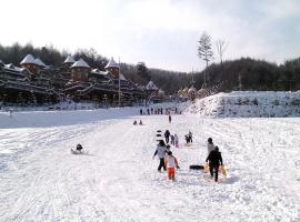 Gangwondo Kiz Tema Pension Supsok Yojung, Hotel in Anheung-dong