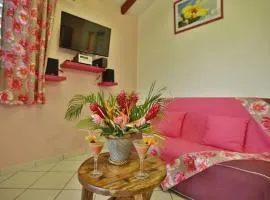 Gîte Hibiscus piscine partagée