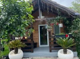 Cabana Sorina