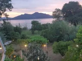 Lou Apartments & Hostel