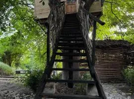 Areni House B&B