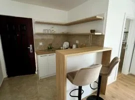 Apartman Runway Rest