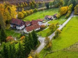 Ferienhaus Untere Mühle - eingezäunter Garten, Ruhe & Natur