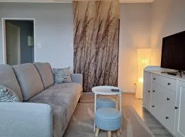 FeWo Deichnest in Brhv -Mitte Monteure