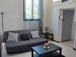 Joli appartement hyper centre Grenoble