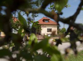 Rekreačný dom SISI, pensionat i Podhájska