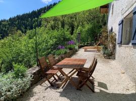 Maison de charme sur le plateau du Vercors au calme dans un véritable écrin de verdure, Hotel in Engins