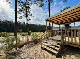 Un toit sur le bassin vue Foret