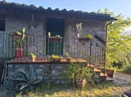 Camera al Poggio ai Grilli