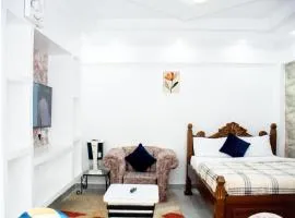 salmi's homes