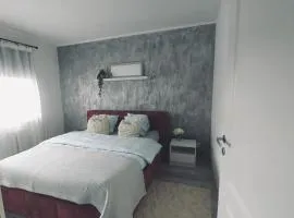 Mongi Apartment