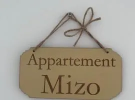 Appartement proche zenith "mizo"