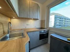 Zentral gelegenes Apartment für Ihren Urlaub in Bad Reichenhall