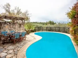 Forest stone Villa with pool