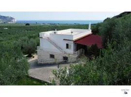 Casa Mare e Ulivi
