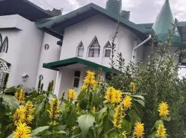 Stunning 3BHK Villa, Mussoorie