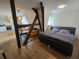 FERIENWOHNUNG 44m2 APARTMENT WOHNUNG im ZITTAUER STADTZENTRUM INNENSTADT INNENRING TOP LAGE MARKT UND RATHAUS NÄHE, hotel in Zittau