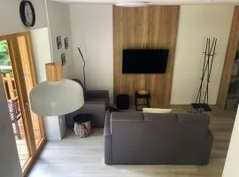 Apartmán Mariánská Hora