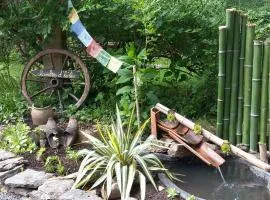 les cèdres bleus de Joany
