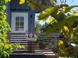 Sjarmerende liten gjestehytte