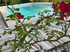 Le chant des cigales