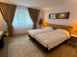 CHR Vista, nhà khách ở Nicoreşti