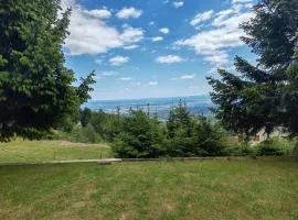 apartma Pohorc - Kostanj