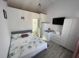 LaNoi 26
