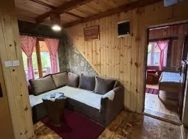 Apartment Country Villa MMMM-1-Camp Scepanovic