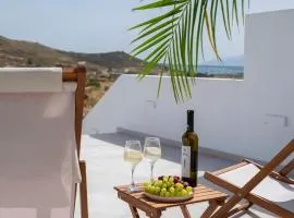 Paros Comfort Villa