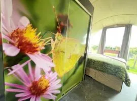 Eco-lodge, slow living by nature