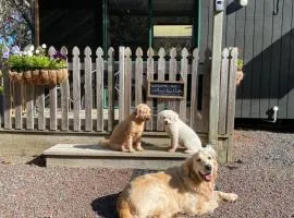 Willows Reach Lodge