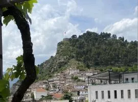 Flat in Berat's center