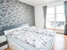 Apartmá Kateřina Velké Losiny