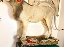 Sleep with a LION! 3 bedroom, near Downtown, Tremont, Ohio city!!