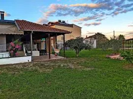 Summer House Rocinante 2