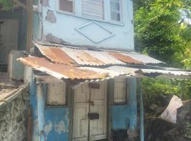 come zone u will always remember, hotel que acepta mascotas en Kupuis