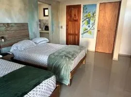 Cozy and Central Room